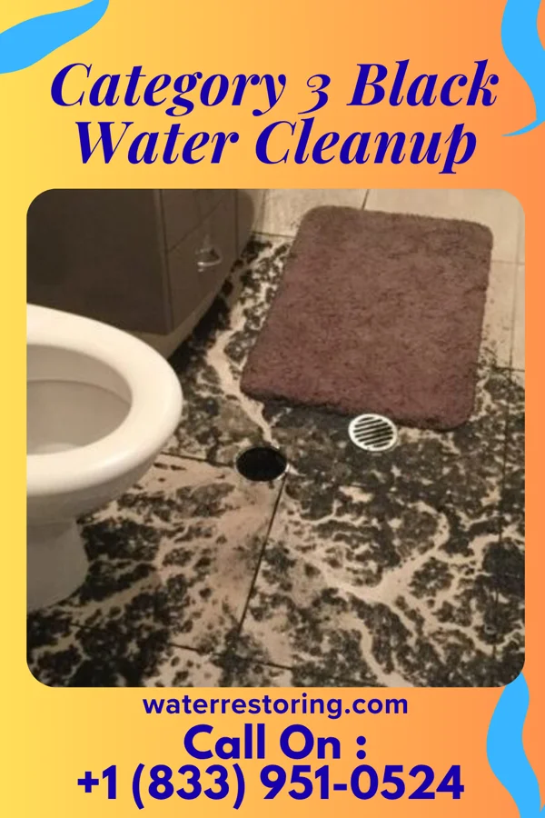 Category 3 Black Water Cleanup in Brookfield, WI
