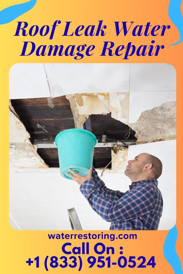 Roof Leak Water Damage Repair in Brookfield, WI