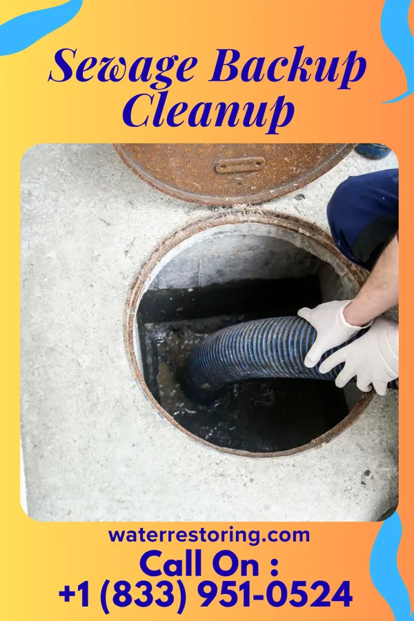 Sewage Backup Cleanup in Brookfield, WI