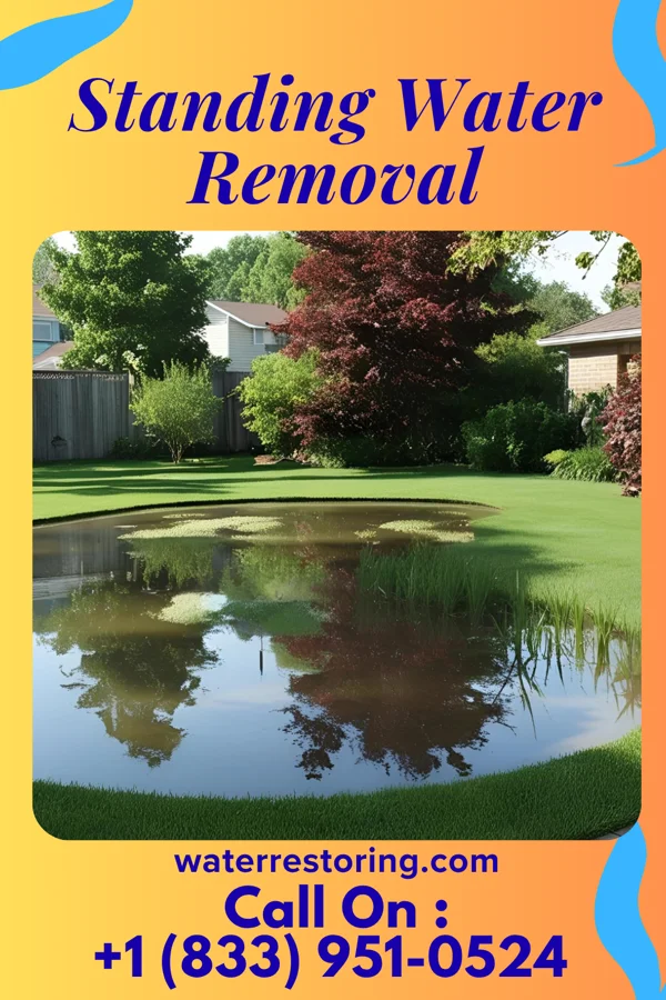 Standing Water Removal in Brookfield, WI